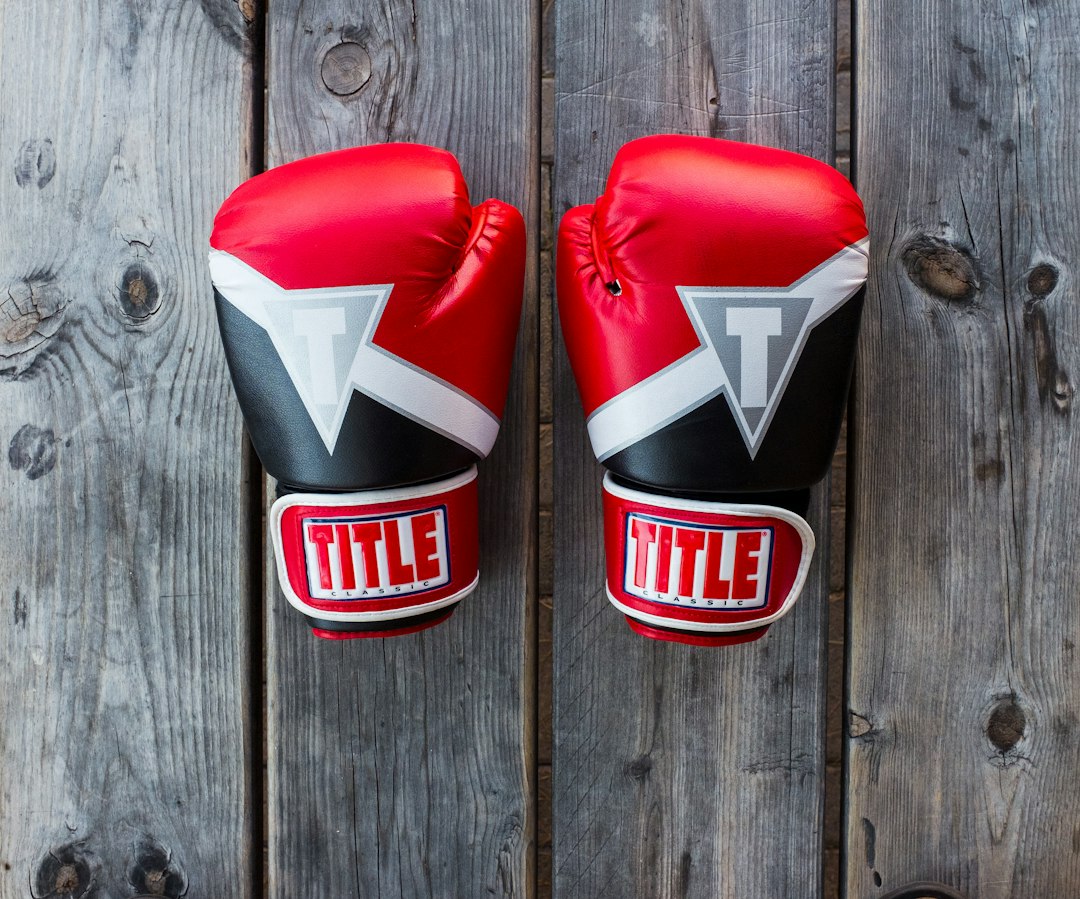 Conclusion by MMA Ninja pair of red-and-black Title training gloves on grey wooden plank