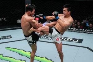 Featured image for How Many Styles of MMA Are There 15 You Need to Know 2026